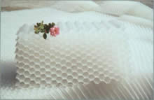 ���Ƿ�C����